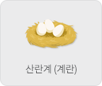 산란계(계란)