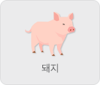 돼지