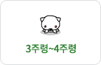 3주령~4주령